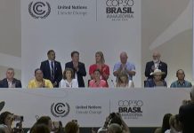 COP30 neglects the protection of environmental defenders, but there are five new areas to work on for change