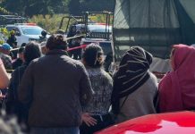 Urgent Action: PBI-Mexico expresses concern about the murder of two defenders in Takuro, Michoacán