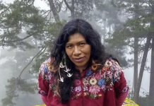 PBI-Canada highlights the need to strengthen the Protection Mechanism in Mexico at APG-organized call with Global Affairs Canada