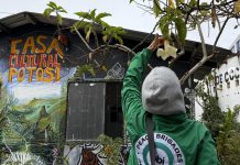 PBI-Colombia visits Casa Cultural Potosi, stands with those who defend life and territory in Ciudad Bolivar