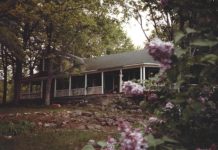 A compilation of stories about Peace Brigades International as it nears the 45th anniversary of its founding on Grindstone Island