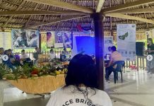PBI-Colombia accompanies Peace Community of San José de Apartadó at Universidad Campesina, highlights Rios Vivos report