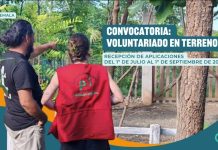 PBI-Guatemala seeks applications for field volunteers, the deadline is September 1