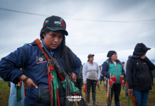Indigenous Summit for Life summons Colombian President de la Espriella for direct dialogue on November 14